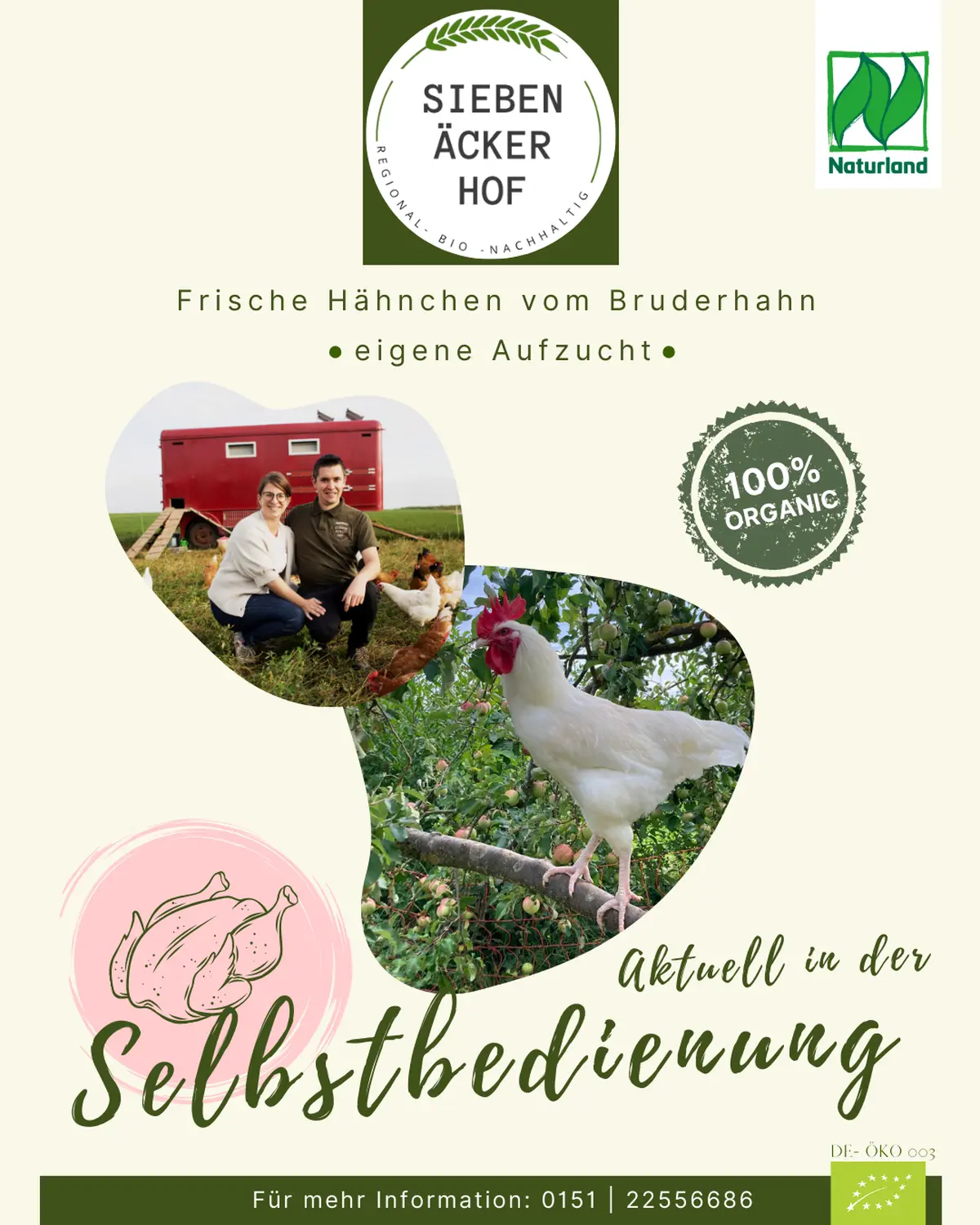 Sieben Äcker Hof - Huhn verkauf Angebot flyer