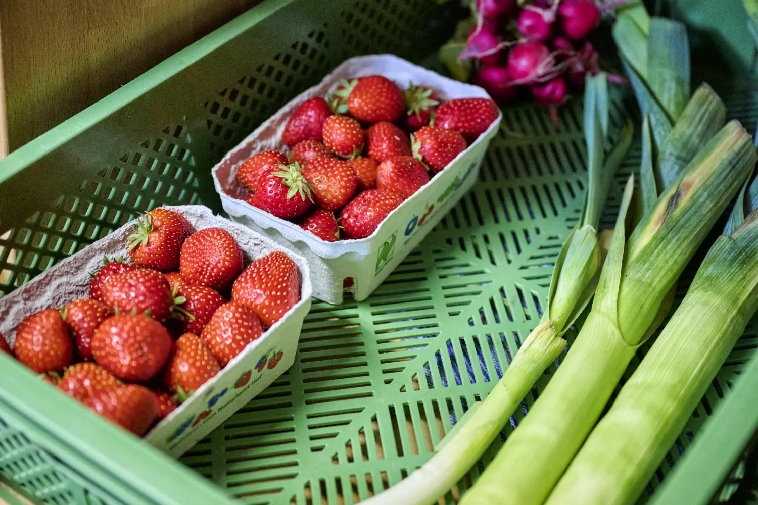 Sieben Äcker Hof - Erdbeeren vom Bauernhof
